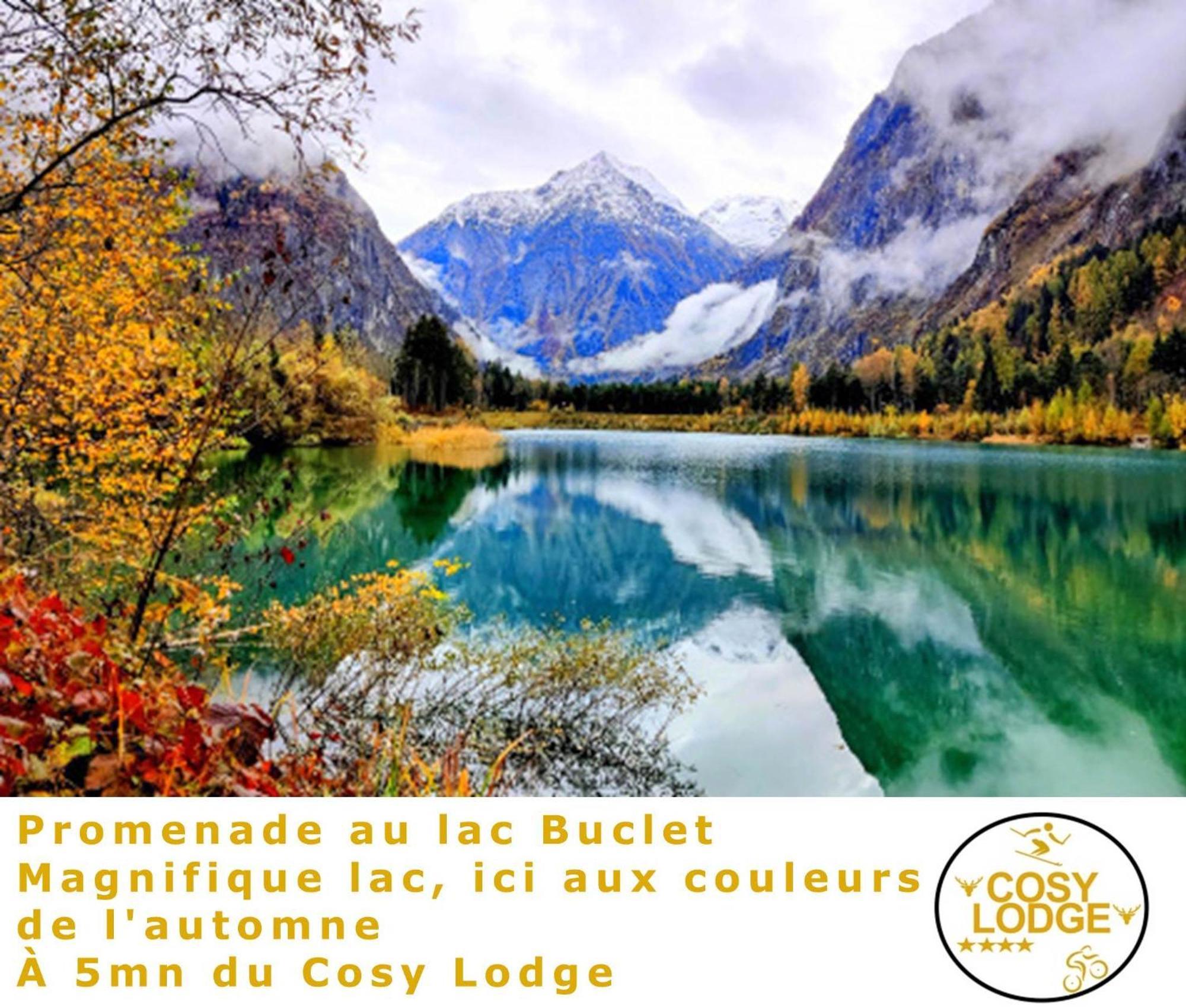 Le Cosy Lodge Departs Ski Alpe D'Huez 2 Alpes La Grave Et Col D'Ornon Detente Jacuzzi Piscine Sauna Bar Billard Le Bourg-dʼOisans Kültér fotó